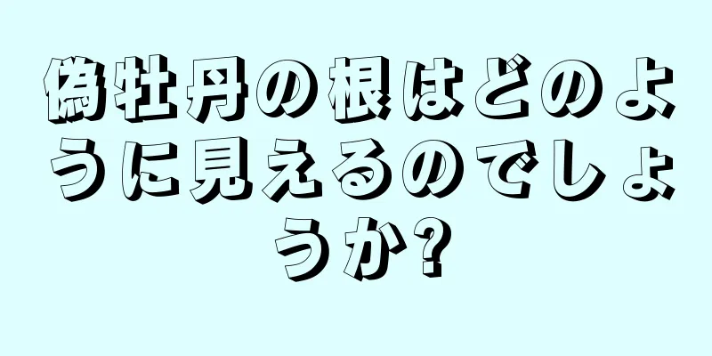 偽牡丹の根はどのように見えるのでしょうか?