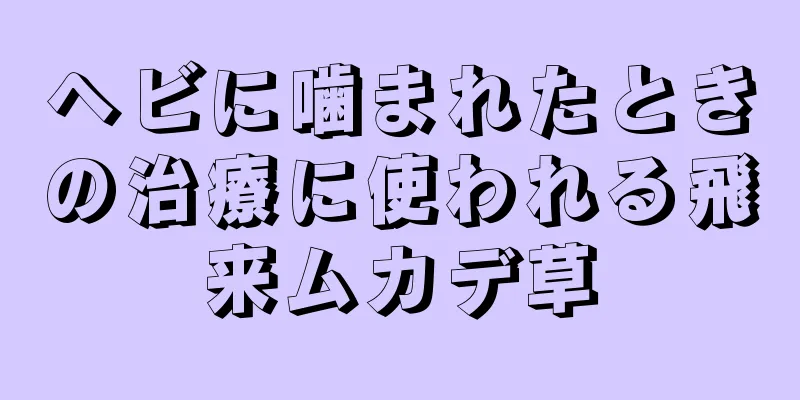 ヘビに噛まれたときの治療に使われる飛来ムカデ草