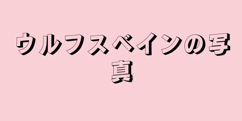 ウルフスベインの写真