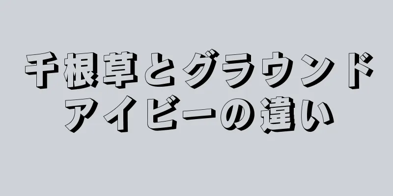 千根草とグラウンドアイビーの違い