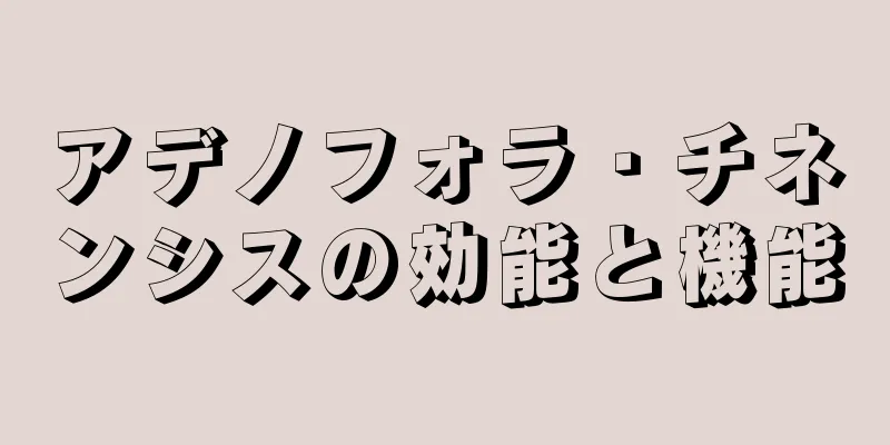 アデノフォラ・チネンシスの効能と機能