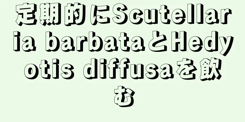 定期的にScutellaria barbataとHedyotis diffusaを飲む