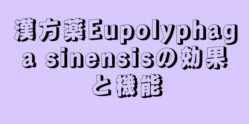 漢方薬Eupolyphaga sinensisの効果と機能
