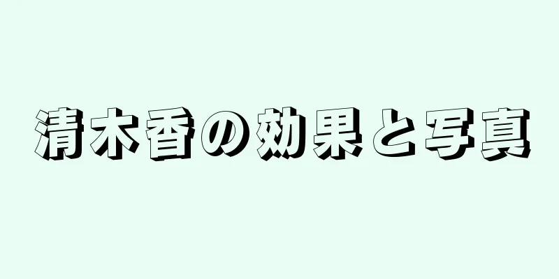清木香の効果と写真