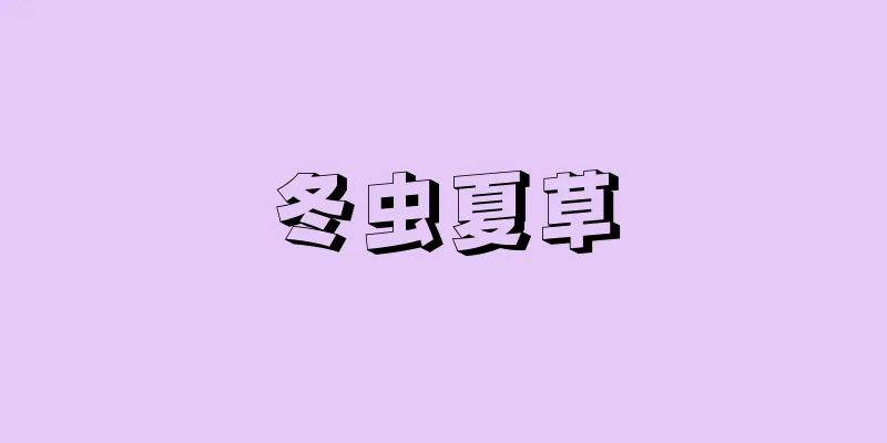 冬虫夏草