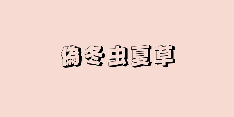 偽冬虫夏草