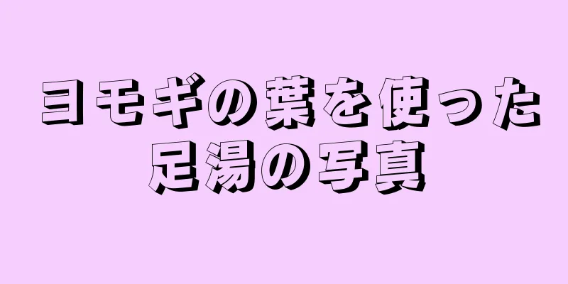 ヨモギの葉を使った足湯の写真