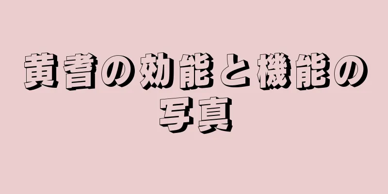 黄耆の効能と機能の写真