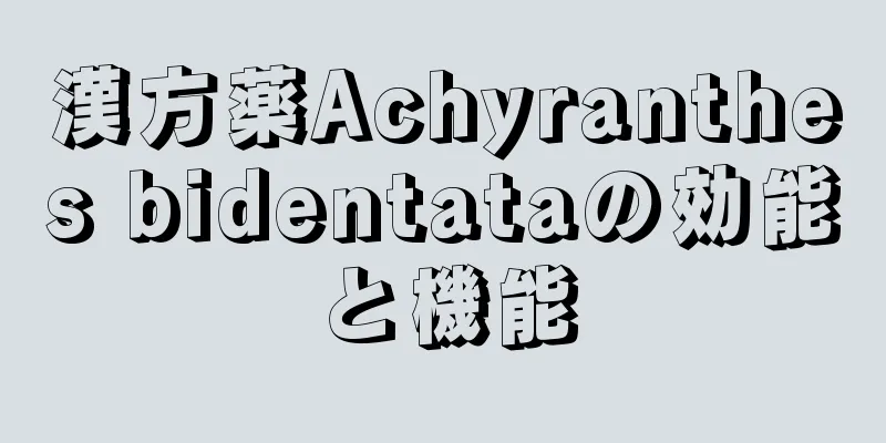 漢方薬Achyranthes bidentataの効能と機能