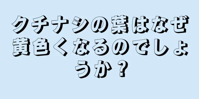 クチナシの葉はなぜ黄色くなるのでしょうか？