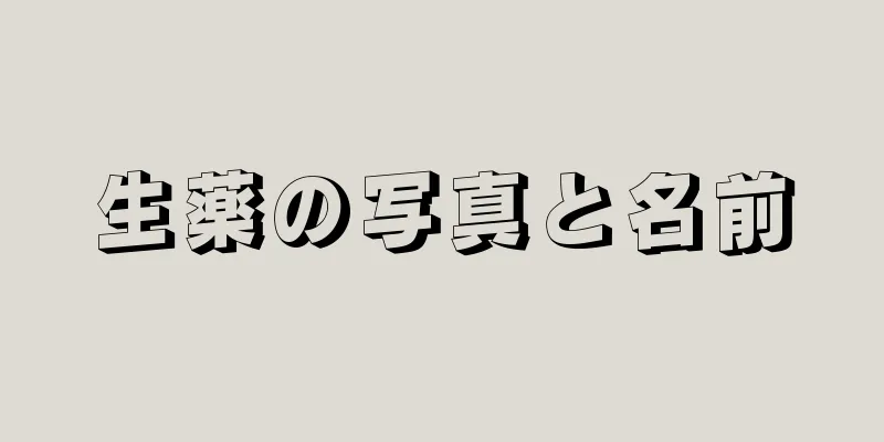 生薬の写真と名前