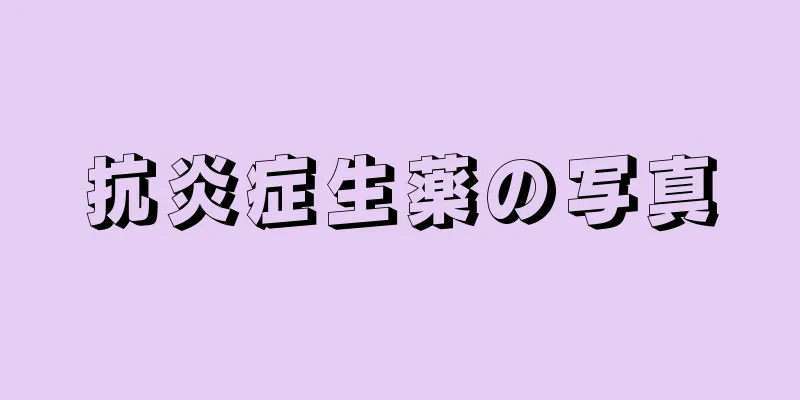 抗炎症生薬の写真