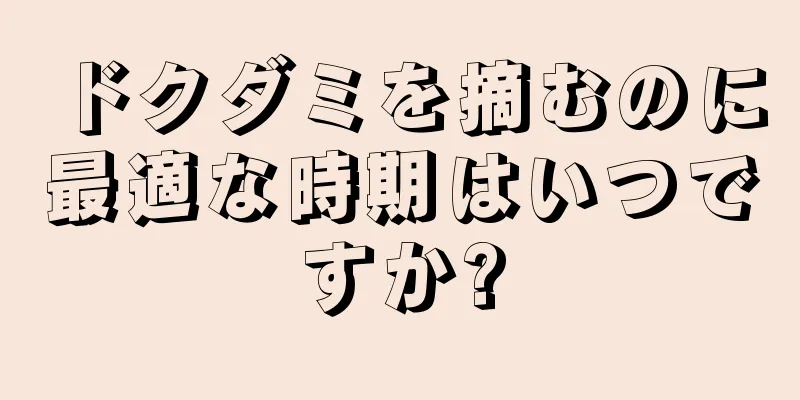 ドクダミを摘むのに最適な時期はいつですか?