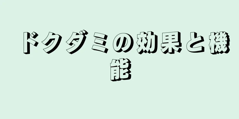ドクダミの効果と機能