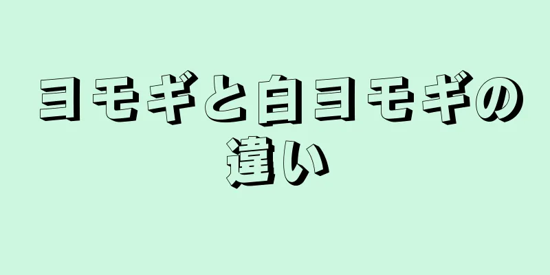 ヨモギと白ヨモギの違い