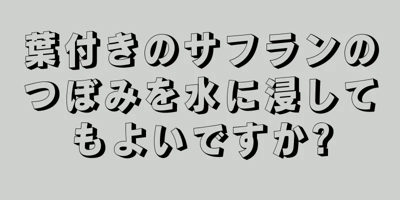 葉付きのサフランのつぼみを水に浸してもよいですか?