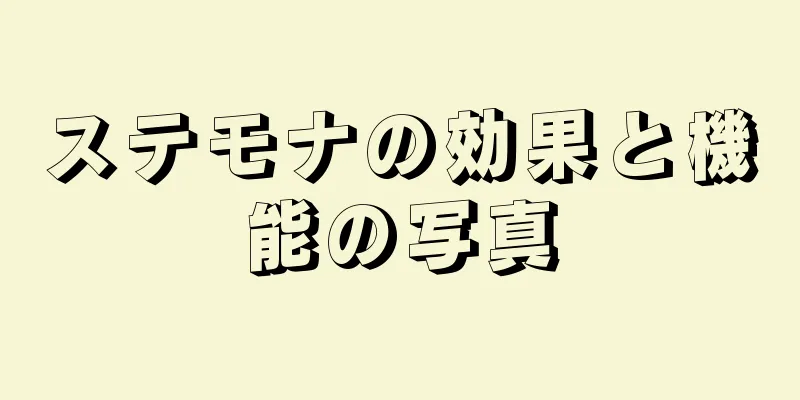 ステモナの効果と機能の写真