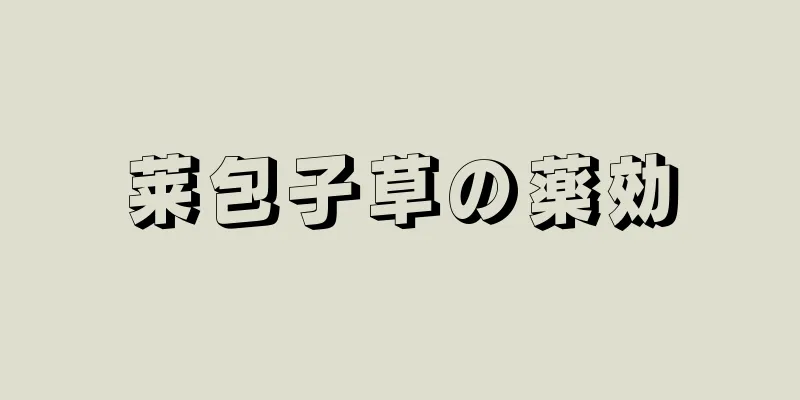 莱包子草の薬効