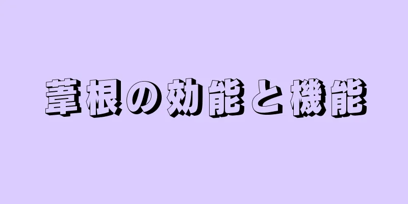 葦根の効能と機能