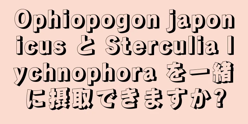 Ophiopogon japonicus と Sterculia lychnophora を一緒に摂取できますか?