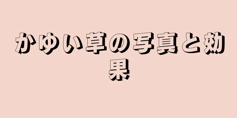 かゆい草の写真と効果
