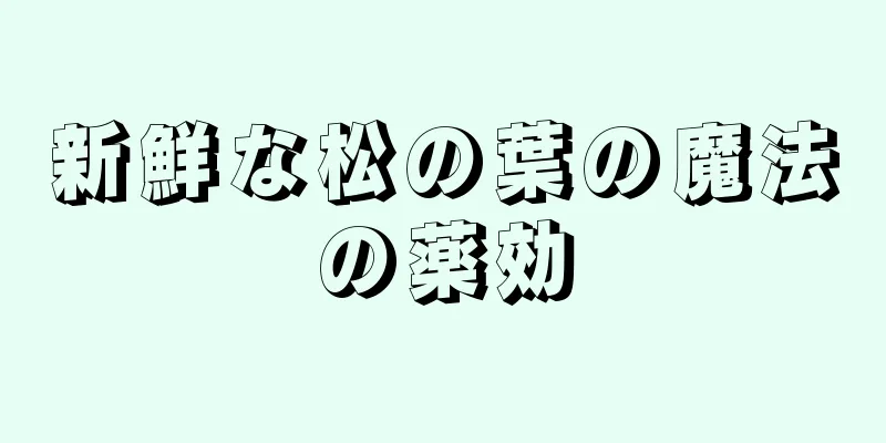新鮮な松の葉の魔法の薬効