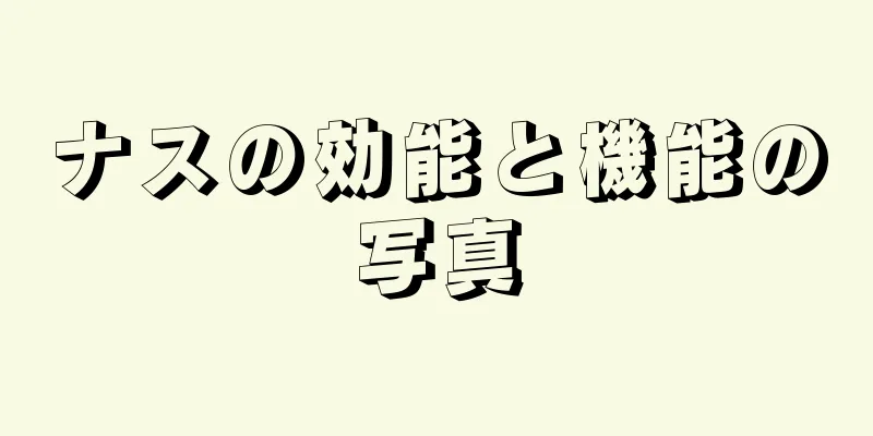 ナスの効能と機能の写真