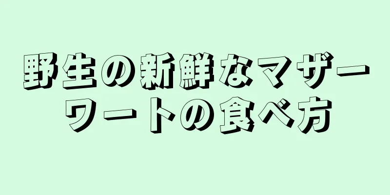 野生の新鮮なマザーワートの食べ方