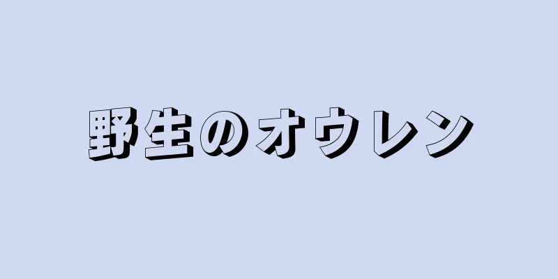野生のオウレン