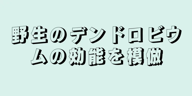 野生のデンドロビウムの効能を模倣