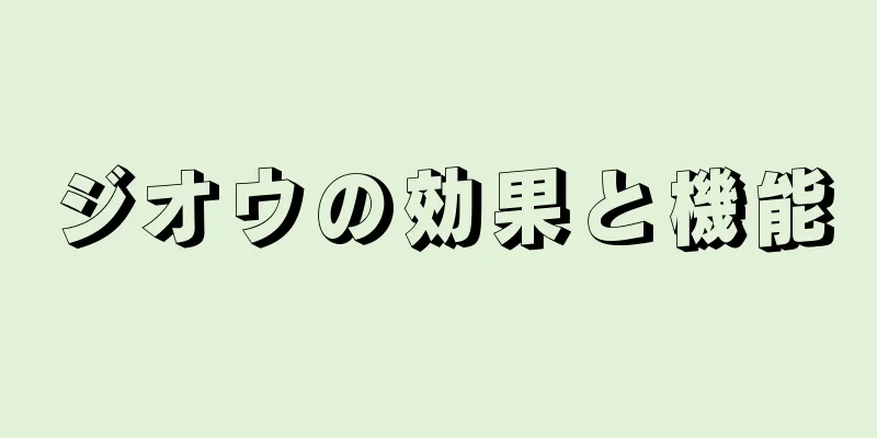 ジオウの効果と機能