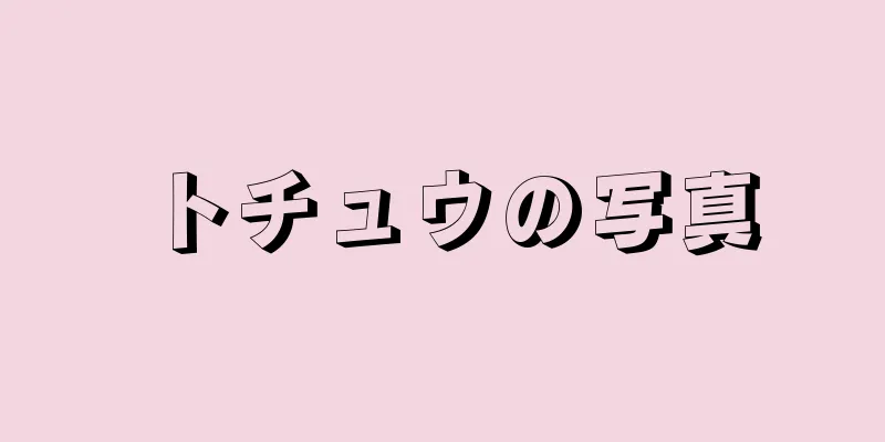 トチュウの写真