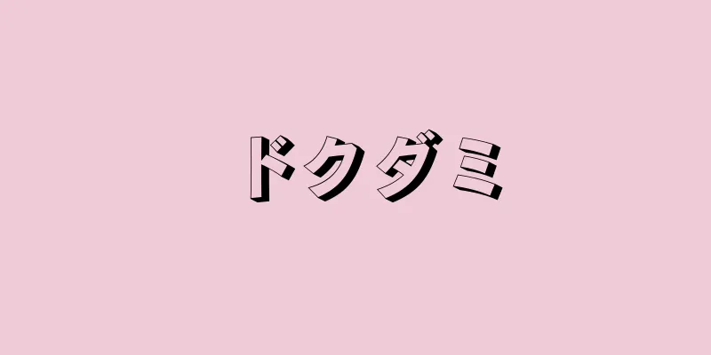 ドクダミ