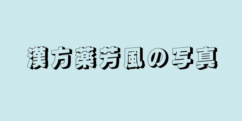 漢方薬芳風の写真