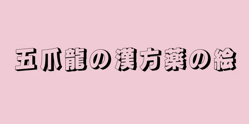 五爪龍の漢方薬の絵