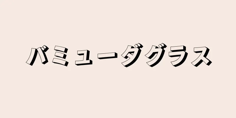 バミューダグラス