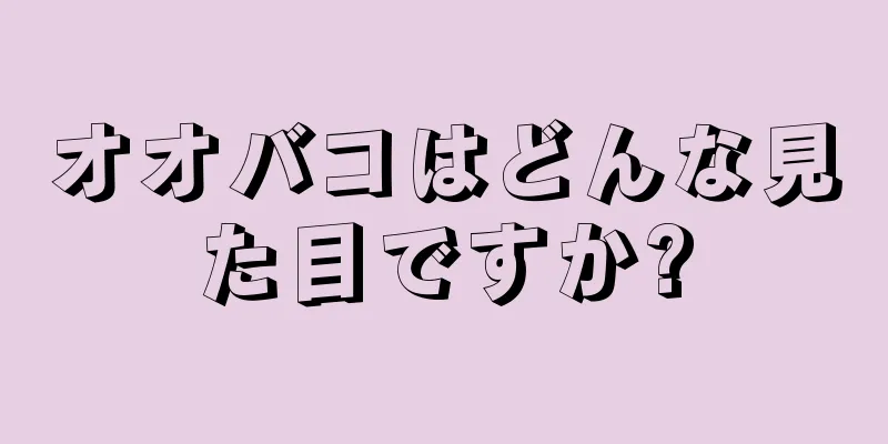 オオバコはどんな見た目ですか?
