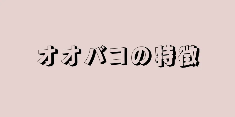 オオバコの特徴