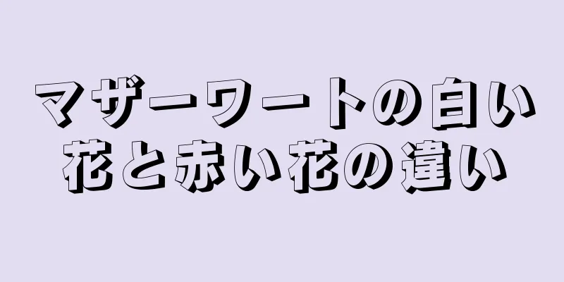 マザーワートの白い花と赤い花の違い