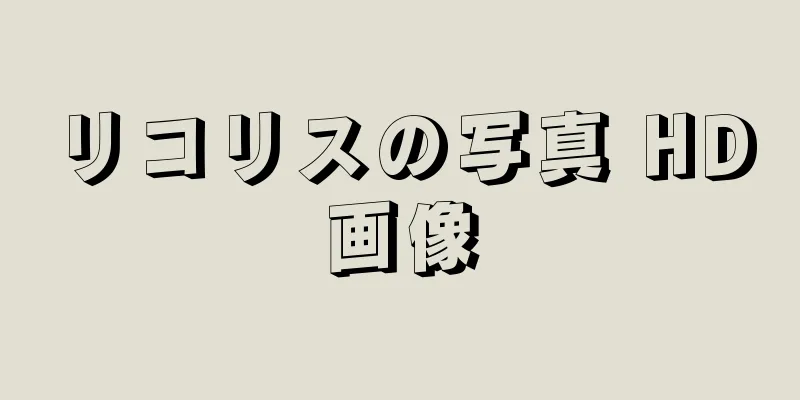 リコリスの写真 HD画像