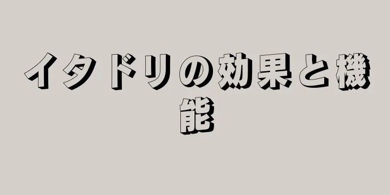 イタドリの効果と機能