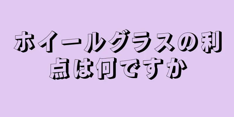 ホイールグラスの利点は何ですか