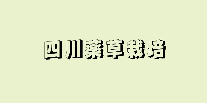 四川薬草栽培