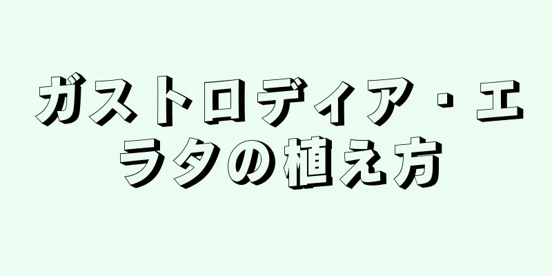 ガストロディア・エラタの植え方