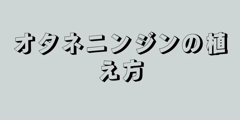 オタネニンジンの植え方