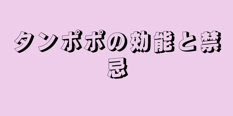 タンポポの効能と禁忌