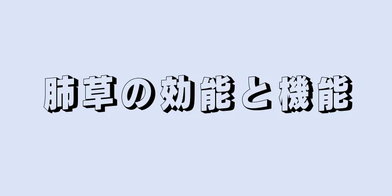 肺草の効能と機能