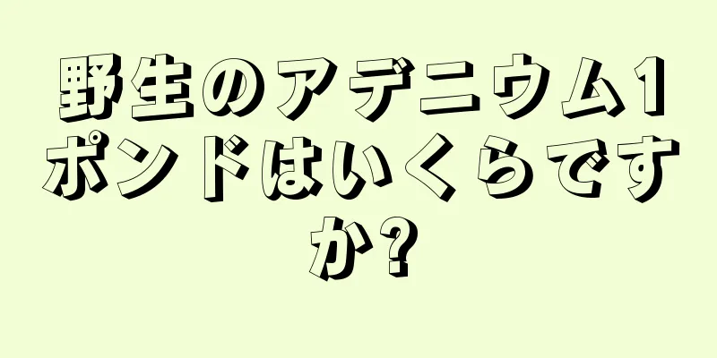 野生のアデニウム1ポンドはいくらですか?