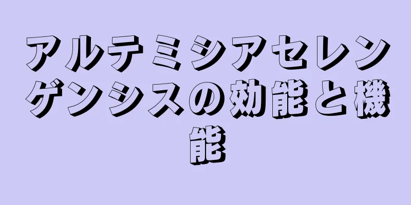 アルテミシアセレンゲンシスの効能と機能