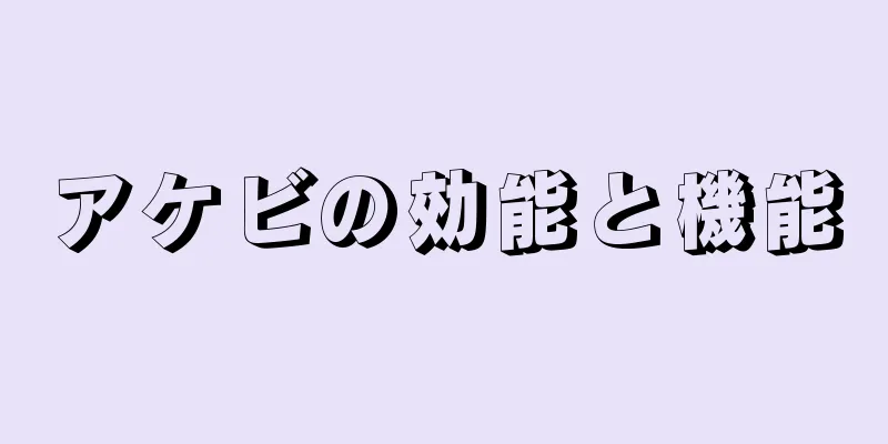 アケビの効能と機能
